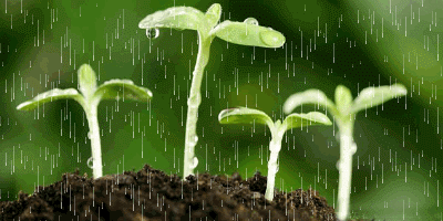 环保行业BP及研究报告文档200份398M合集